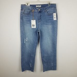 Indigo Rein Highrise Ankle Jeans 32 NWT